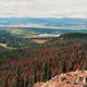 A view from Mt. Fraser, Wyoming, shows thousands of dead and dying trees that have succumbed to bark beetle infestations. Image: Wikimedia